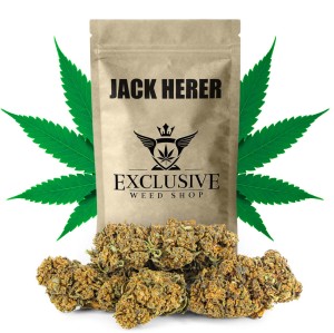 Susz konopny Jack Herer CBD