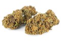 susz cbd jack herer exclusiveweed sklep cbd 1g 2g 3g 4g 5g 10g 20g 30g 40g 50g 100g 200g 300g 400g 500g 1000g 1kg 2kg 5kg 10kg hurt detal (3).JPG