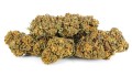 susz cbd jack herer exclusiveweed sklep cbd 1g 2g 3g 4g 5g 10g 20g 30g 40g 50g 100g 200g 300g 400g 500g 1000g 1kg 2kg 5kg 10kg hurt detal (4).jpg