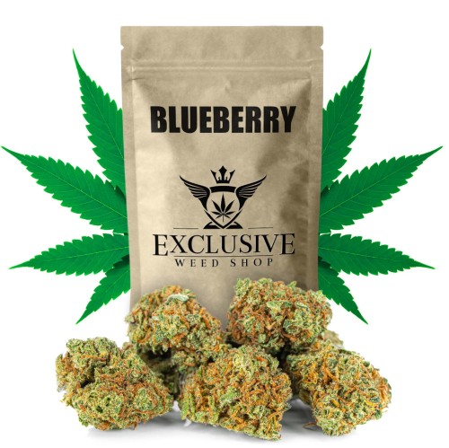 susz-cbd-blueberry-exclusiveweed-sklep-cbd-1g-2g-3g-4g-5g-10g-20g-30g-40g-50g-100g-200g-300g-400g-500g-1000g-1kg-2kg-5kg-10kg-hurt-detal (1).jpg