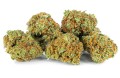 susz-cbd-blueberry-exclusiveweed-sklep-cbd-1g-2g-3g-4g-5g-10g-20g-30g-40g-50g-100g-200g-300g-400g-500g-1000g-1kg-2kg-5kg-10kg-hurt-detal (2).jpg