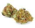 susz-cbd-blueberry-exclusiveweed-sklep-cbd-1g-2g-3g-4g-5g-10g-20g-30g-40g-50g-100g-200g-300g-400g-500g-1000g-1kg-2kg-5kg-10kg-hurt-detal (3).JPG