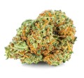 susz-cbd-blueberry-exclusiveweed-sklep-cbd-1g-2g-3g-4g-5g-10g-20g-30g-40g-50g-100g-200g-300g-400g-500g-1000g-1kg-2kg-5kg-10kg-hurt-detal (4).JPG