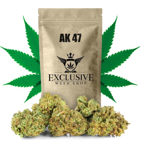 susz-cbd-ak-47-exclusiveweed-sklep-cbd-1g-2g-3g-4g-5g-10g-20g-30g-40g-50g-100g-200g-300g-400g-500g-1000g-1kg-2kg-5kg-10kg-hurt-detal (1).jpg