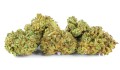 susz-cbd-ak-47-exclusiveweed-sklep-cbd-1g-2g-3g-4g-5g-10g-20g-30g-40g-50g-100g-200g-300g-400g-500g-1000g-1kg-2kg-5kg-10kg-hurt-detal (4).jpg