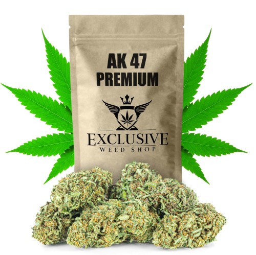 susz-cbd-ak-47-premium-exclusiveweed-sklep-cbd-1g-2g-3g-4g-5g-10g-20g-30g-40g-50g-100g-200g-300g-400g-500g-1000g-1kg-2kg-5kg-10kg-hurt-detal (1).jpg