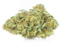 susz-cbd-ak-47-premium-exclusiveweed-sklep-cbd-1g-2g-3g-4g-5g-10g-20g-30g-40g-50g-100g-200g-300g-400g-500g-1000g-1kg-2kg-5kg-10kg-hurt-detal (2).JPG