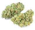 susz-cbd-ak-47-premium-exclusiveweed-sklep-cbd-1g-2g-3g-4g-5g-10g-20g-30g-40g-50g-100g-200g-300g-400g-500g-1000g-1kg-2kg-5kg-10kg-hurt-detal (3).JPG