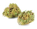 susz-cbd-og-royal-kush-exclusiveweed-sklep-cbd-1g-2g-3g-4g-5g-10g-20g-30g-40g-50g-100g-200g-300g-400g-500g-1000g-1kg-2kg-5kg-10kg-hurt-detal (1 (4).JPG