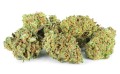 susz-cbd-og-royal-kush-exclusiveweed-sklep-cbd-1g-2g-3g-4g-5g-10g-20g-30g-40g-50g-100g-200g-300g-400g-500g-1000g-1kg-2kg-5kg-10kg-hurt-detal (1 (2).jpg