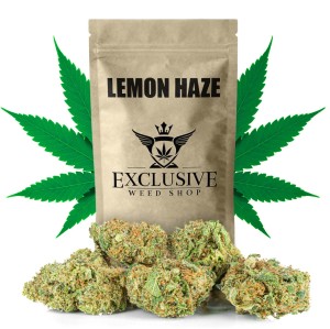 Susz konopny Lemon Haze CBD