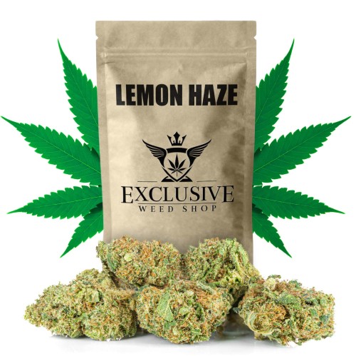 susz-cbd-lemon-haze-exclusiveweed-sklep-cbd-1g-2g-3g-4g-5g-10g-20g-30g-40g-50g-100g-200g-300g-400g-500g-1000g-1kg-2kg-5kg-10kg-hurt-detal.jpg