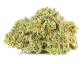 susz-cbd-lemon-haze-exclusiveweed-sklep-cbd-1g-2g-3g-4g-5g-10g-20g-30g-40g-50g-100g-200g-300g-400g-500g-1000g-1kg-2kg-5kg-10kg-hurt-detal (1 (3).JPG