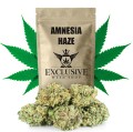 susz cbd amnesia haze  exclusiveweed sklep cbd 1g 2g 3g 4g 5g 10g 20g 30g 40g 50g 100g 200g 300g 400g 500g 1000g 1kg 2kg 5kg 10kg hurt detal (1).jpg