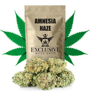 Susz konopny  Amnesia Haze CBD