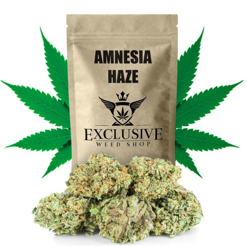 susz cbd amnesia haze  exclusiveweed sklep cbd 1g 2g 3g 4g 5g 10g 20g 30g 40g 50g 100g 200g 300g 400g 500g 1000g 1kg 2kg 5kg 10kg hurt detal (1).jpg