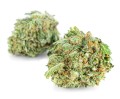 susz cbd amnesia haze  exclusiveweed sklep cbd 1g 2g 3g 4g 5g 10g 20g 30g 40g 50g 100g 200g 300g 400g 500g 1000g 1kg 2kg 5kg 10kg hurt detal (1.jpg