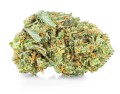 susz cbd amnesia haze  exclusiveweed sklep cbd 1g 2g 3g 4g 5g 10g 20g 30g 40g 50g 100g 200g 300g 400g 500g 1000g 1kg 2kg 5kg 10kg hurt detal (1 (3).jpg
