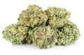 susz cbd amnesia haze  exclusiveweed sklep cbd 1g 2g 3g 4g 5g 10g 20g 30g 40g 50g 100g 200g 300g 400g 500g 1000g 1kg 2kg 5kg 10kg hurt detal (1 (4).jpg