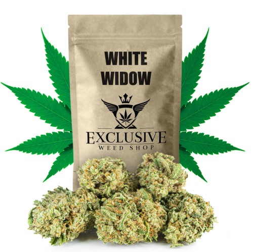 susz cbd white widow  exclusiveweed sklep cbd 1g 2g 3g 4g 5g 10g 20g 30g 40g 50g 100g 200g 300g 400g 500g 1000g 1kg 2kg 5kg 10kg hurt detal (1).jpg