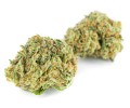 susz cbd white widow  exclusiveweed sklep cbd 1g 2g 3g 4g 5g 10g 20g 30g 40g 50g 100g 200g 300g 400g 500g 1000g 1kg 2kg 5kg 10kg hurt detal (2).jpg