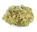 susz cbd white widow  exclusiveweed sklep cbd 1g 2g 3g 4g 5g 10g 20g 30g 40g 50g 100g 200g 300g 400g 500g 1000g 1kg 2kg 5kg 10kg hurt detal (3).jpg