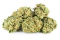 susz cbd white widow  exclusiveweed sklep cbd 1g 2g 3g 4g 5g 10g 20g 30g 40g 50g 100g 200g 300g 400g 500g 1000g 1kg 2kg 5kg 10kg hurt detal (4).jpg
