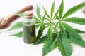 exclusive_weed_shop_olejek_cbd_susz.jpg