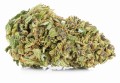 susz cbd konopny purple premium exclusiveweed sklep cbd 1g 2g 3g 4g 5g 10g 20g 30g 40g 50g 100g 200g 300g 400g 500g 1000g 1kg 2kg 5kg 10kg hurt detal (6).JPG