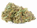 susz cbd konopny purple premium exclusiveweed sklep cbd 1g 2g 3g 4g 5g 10g 20g 30g 40g 50g 100g 200g 300g 400g 500g 1000g 1kg 2kg 5kg 10kg hurt detal (7).JPG