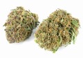 susz cbd konopny purple premium exclusiveweed sklep cbd 1g 2g 3g 4g 5g 10g 20g 30g 40g 50g 100g 200g 300g 400g 500g 1000g 1kg 2kg 5kg 10kg hurt detal (4).JPG