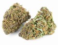susz cbd konopny purple premium exclusiveweed sklep cbd 1g 2g 3g 4g 5g 10g 20g 30g 40g 50g 100g 200g 300g 400g 500g 1000g 1kg 2kg 5kg 10kg hurt detal (5).JPG