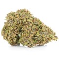 susz-cbd-konopny-purple-premium-exclusiveweed-sklep-cbd-1g-2g-3g-4g-5g-10g-20g-30g-40g-50g-100g-200g-300g-400g-500g-1000g-1kg-2kg-5kg-10kg-hurt-detal.jpg
