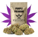 Susz konopny Purple Haze CBD PREMIUM