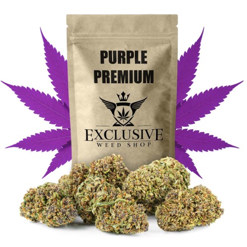 susz-cbd-konopny-purple-premium-exclusiveweed-sklep-cbd-1g-2g-3g-4g-5g-10g-20g-30g-40g-50g-100g-200g-300g-400g-500g-1000g-1kg-2kg-5kg-10kg-hurt-detal-(10).jpg