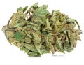 susz cbd konopny amnesia haze premium exclusiveweed sklep cbd 1g 2g 3g 4g 5g 10g 20g 30g 40g 50g 100g 200g 300g 400g 500g 1000g 1kg 2kg 5kg 10kg hurt detal (2).jpg