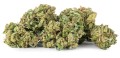 susz cbd konopny amnesia haze premium exclusiveweed sklep cbd 1g 2g 3g 4g 5g 10g 20g 30g 40g 50g 100g 200g 300g 400g 500g 1000g 1kg 2kg 5kg 10kg hurt detal (4).jpg