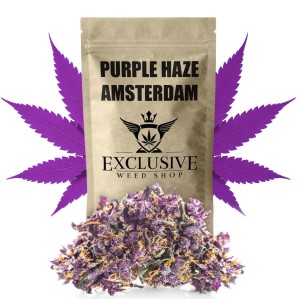 Susz konopny Purple Haze SUPER AMSTERDAM CBD