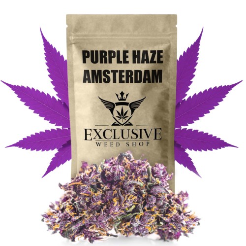susz cbd purple haze amsterdam exclusiveweed sklep cbd 1g 2g 3g 4g 5g 10g 20g 30g 40g 50g 100g 200g 300g 400g 500g 1000g 1kg 2kg 5kg 10kg hurt detal