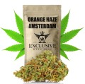Miniaturka Orange Haze Amsterdam Exclusive.jpg