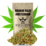 Susz konopny Orange Haze SUPER AMSTERDAM CBD