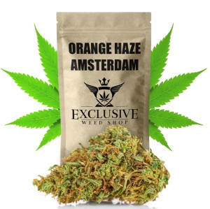 Susz konopny Orange Haze SUPER AMSTERDAM CBD