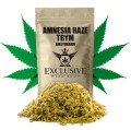 Trym-Amnesia-Haze-Amsterdam.jpg