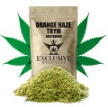 Trym-Orange-Haze-Amsterdam.jpg