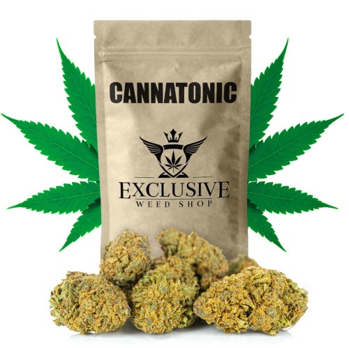 Miniaturka Cannatonic.jpg